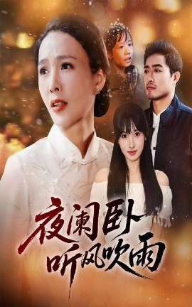 夜阑卧听风吹雨全集