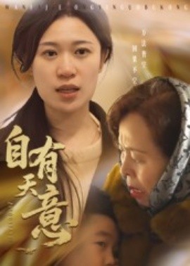 自有天意全集