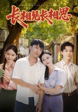 长相见长相思全集