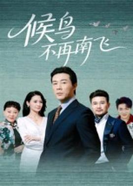 候鸟不再南飞全集