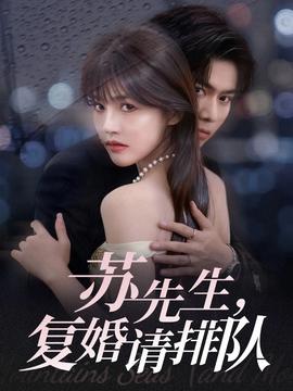 苏先生，复婚请排队全集