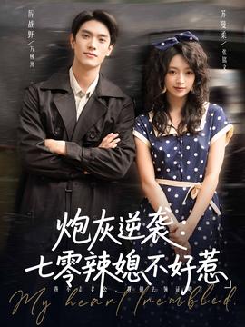 炮灰逆袭七零辣媳不好惹全集