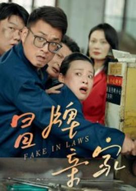 冒牌亲家全集