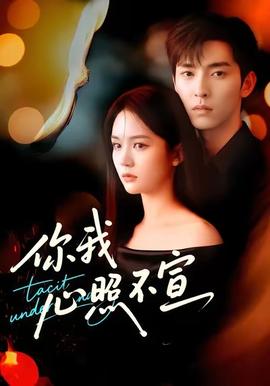 你我心照不宣全集