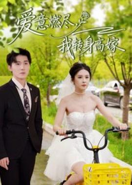 爱意燃尽，我转身高嫁全集