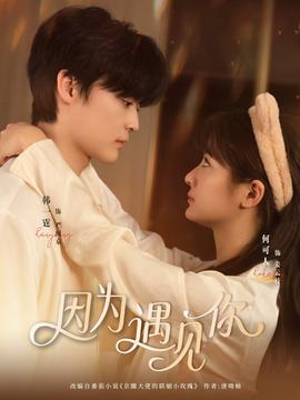 因为遇见你全集