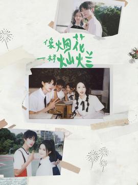 像烟花一样灿烂全集