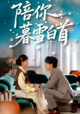 陪你暮雪白首全集