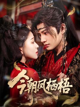 今朝凤栖梧全集