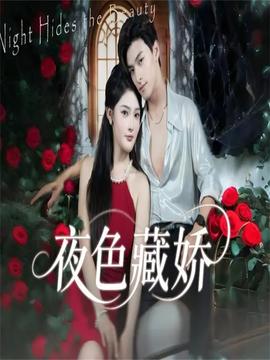 夜色藏娇全集