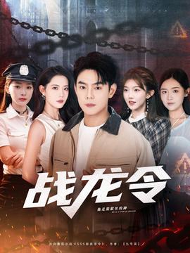 战龙令全集
