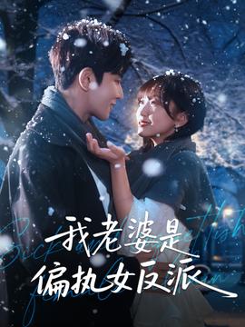 我老婆是偏执女反派全集