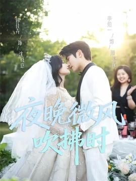 夜晚微风吹拂时全集
