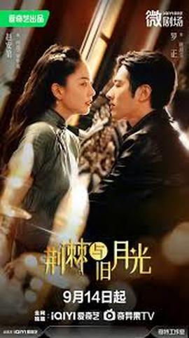 荆棘与月光全集