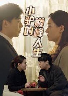 小驴的巅峰人生全集