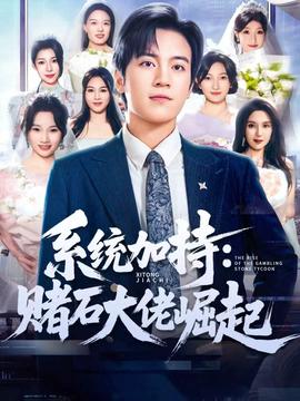 统加持：赌石大佬崛起全集