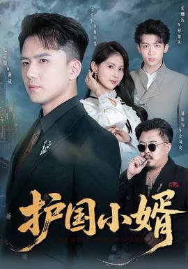 护国小婿全集