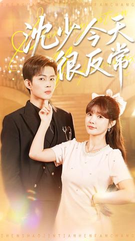 沈少今天很反常全集