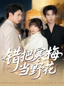 错把寒梅当野花全集