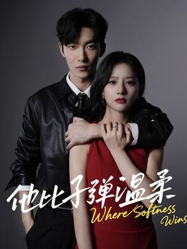 他比子弹温柔全集