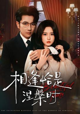 相逢恰是涅槃时全集