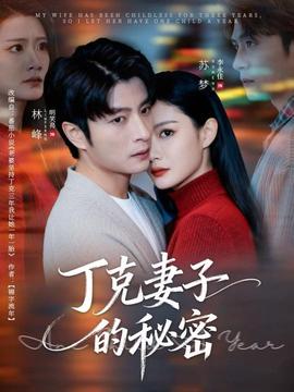 丁克妻子的秘密全集