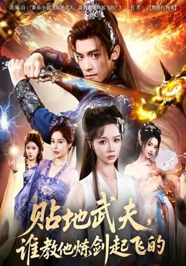 贴地武夫谁教他练剑起飞的全集
