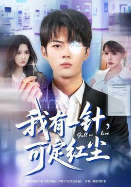 我有一针，可定红尘全集