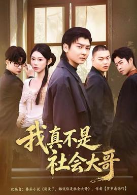 我真不是社会大哥全集