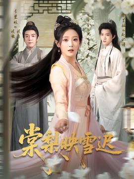 棠梨映雪迟全集