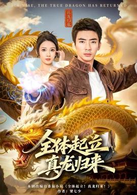 全体起立，真龙归来全集