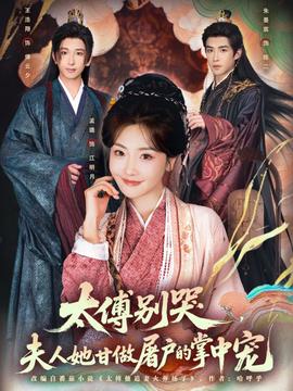 太傅别哭，夫人她甘做屠户的掌中宠全集