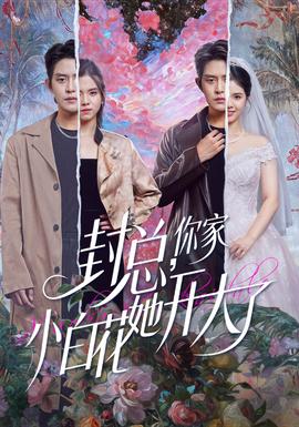 封总，你家小白花她开大了全集