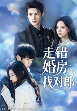 走错婚房找对郎全集