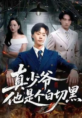 真少爷他是个白切黑全集