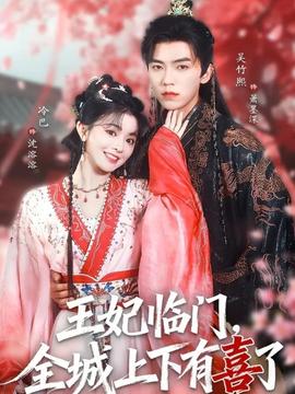 王妃临门全城上下有喜了全集
