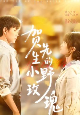 贺先生的小野玫瑰全集