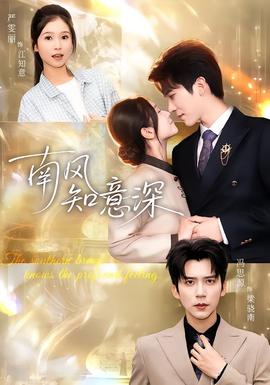 南风知意深全集