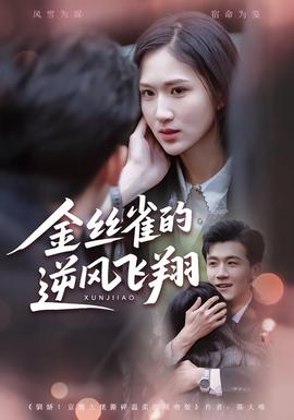 金丝雀的逆风飞翔全集