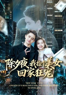除夕夜，我捡个美女回家狂宠全集