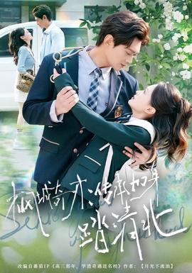 枫城奇才：传承加身踏清北全集