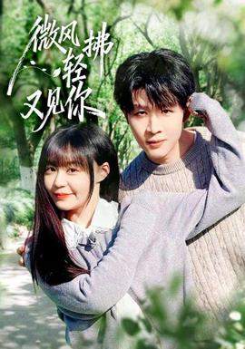 微风轻拂又见你全集