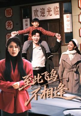 到此飞鸟不相逢全集