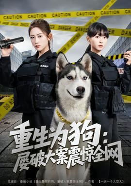 重生为狗屡破大案震惊全网全集