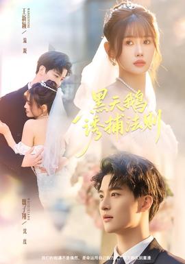 黑天鹅诱捕法册全集