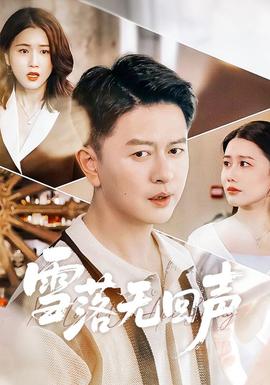 雪落无回声全集