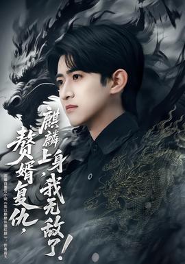 赘婿复仇，麒麟上身，我无敌了全集