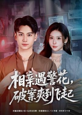 相亲遇警花，破案爽到飞起全集