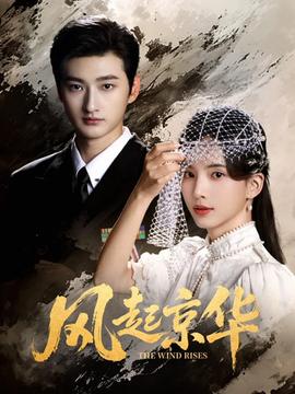 风起京华全集