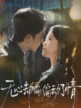 无心却偏偏动了情全集